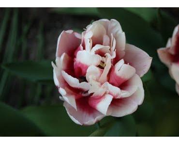 Schleppe Deinen Groll nicht wie eine schwere Last mit Dir herum"