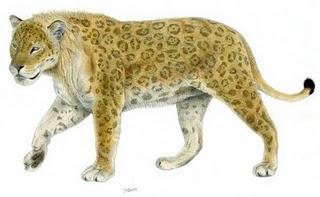 Taschenbücher über große Raubkatzen aus der Urzeit