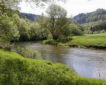 Was trägt uns wirklich?