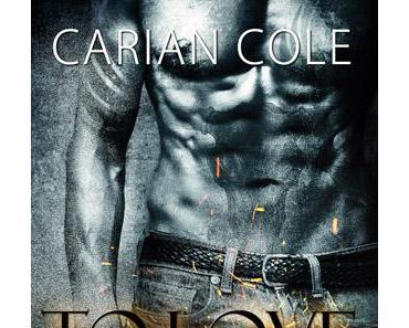 To Love Storm - Ashes & Embers - von Carian Cole