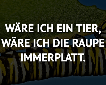wallpaper-1689754