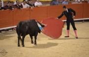 Stierkampf kehrt nach Mallorca zurück