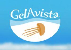 Portugal bittet um Fotos gesichteter Quallen