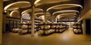Bodega Ribas in Consell erstrahlt in neuem Glanz