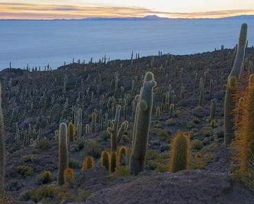 Salar de Uyuni Tipps | Der ultimative Guide für die größte Salzwüste der Welt