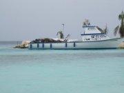 15 Tonnen Müll aus dem Mittelmeer “gefischt”