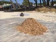 Der Berg der Schande