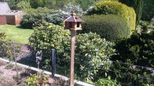 Ein Vogelhaus im Garten aufstellen – darauf sollten Sie achten