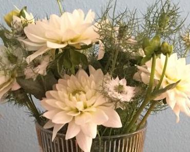 Friday-Flowerday – oder – Kompakt und zart: Dahlien und Jungfer im Grünen