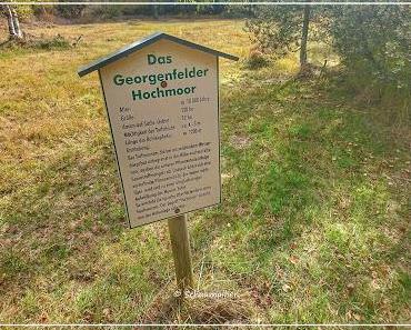 Einen Ausflug in das Georgenfelder Hochmoor