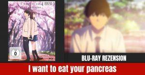 Review: I want to eat your pancreas | Blu-ray