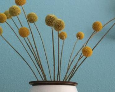 Friday-Flowerday – oder – Was haben Trommelstöcke in einer Vase zu suchen?