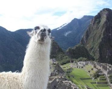 Machu Picchu Kosten – der Sparweg für weniger als 30 Euro