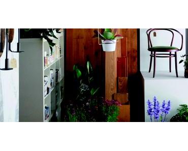 Designwe.love in Weimar