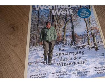 Lesetipp: Wohllebens Welt (4) – Ein Spaziergang durch den Winterwald!