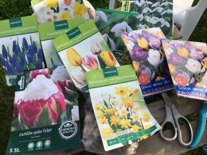 Bunte Frühlingspracht – Wie pflanzt man Blumenzwiebeln in der Lasagne-Technik?