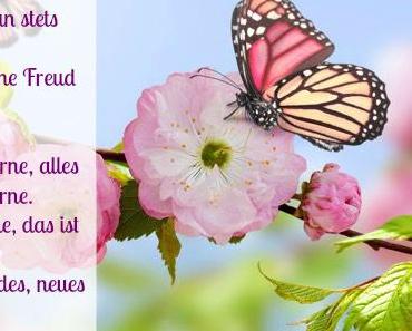 wallpaper-1689754