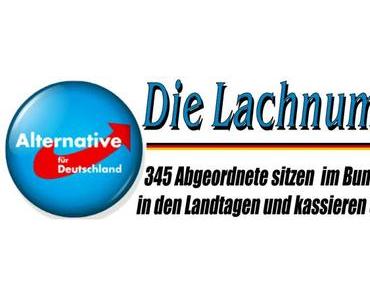 AfD; 345 Abgeordnete sitzen im Bundestag und in den Landtagen und kassieren Geld für nix