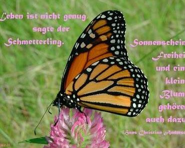 wallpaper-1689754