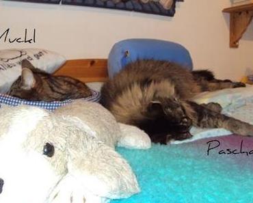 Muckl & ihr (Adoptiv-)Sohn ;-)