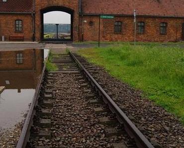 Studienfahrt: Tag 3 - Auschwitz - Birkenau