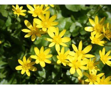 Worauf es in unserem Leben wirklich ankommt