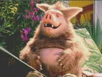 Susanne  vs. Schweinehund  - 4. Woche