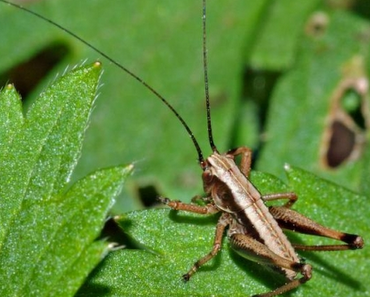 Wir nehmen nur wahr, worauf sich unsere Aufmerksamkeit richtet!