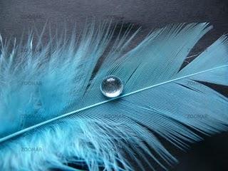 wallpaper-1689754