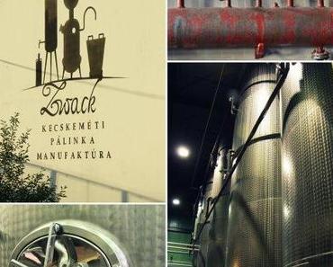 Besichtigung der besonderen Art