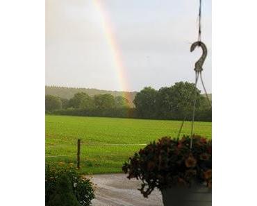 gestern Abend