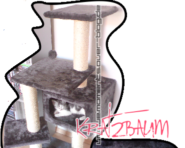 Wohlfühleffekt - X3