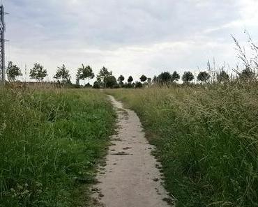 Hat jemand mein Handy gesehen ??