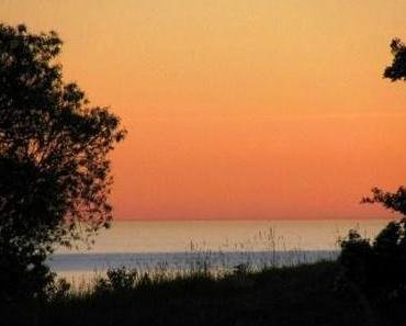 Auf Besuch bei Armin