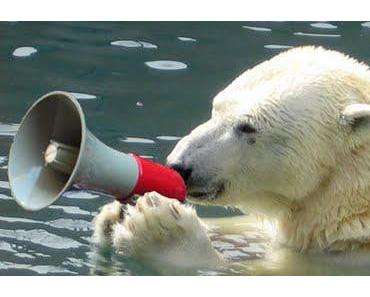 Fremde Federn: Die große Luftnummer