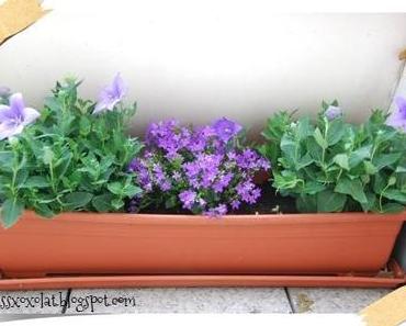 Neues vom "Sommer-Wohnzimmer"