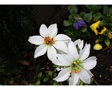 Wie Gott sich anfühlt