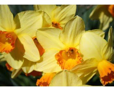 Jedes Kind sollte behandelt werden wie ein Königskind!