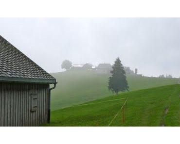 Herbst auf dem Höch Hirschberg