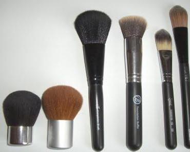 Everyday Brushes