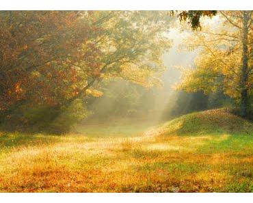 wallpaper-1689754