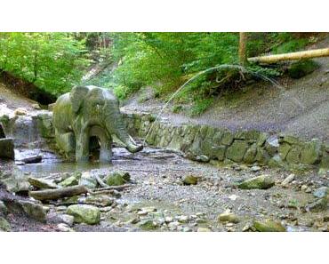 Der liebe Elefant vom Adlisberg