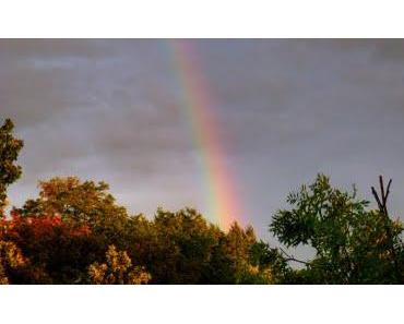 Der Himmel über Halle XLII