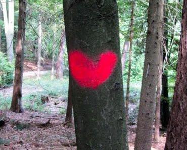 nachsorgekalender // spessartwanderung