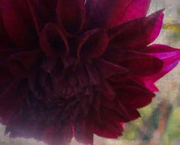 Impressionen/Blumenzauber mal bearbeitet