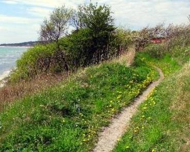 Der Weg nach Woanders