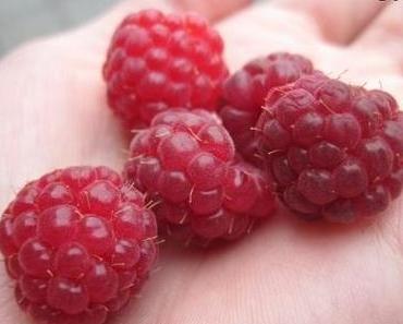 Das Gute zum Schluss