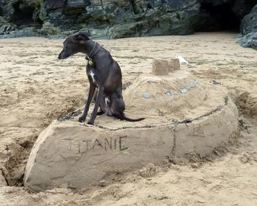 Wuff :)