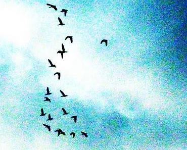 wallpaper-1689754