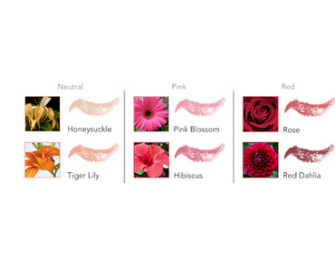 Burts Bees Tinted Lipbalms